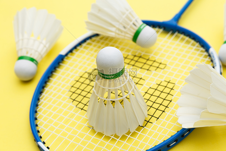 如果再引进 如果再引进